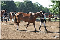 4H-2nd-Show-2005-0318.jpg