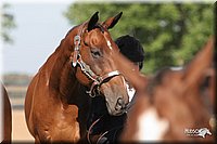 4H-2nd-Show-2005-0344.jpg