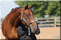 4H-2nd-Show-2005-0345.jpg