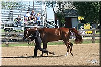 4H-2nd-Show-2005-0367.jpg