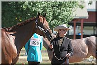 4H-2nd-Show-2005-0369.jpg