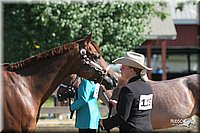 4H-2nd-Show-2005-0370.jpg