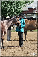 4H-2nd-Show-2005-0375.jpg