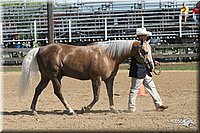 4H-2nd-Show-2005-0380.jpg