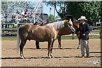 4H-2nd-Show-2005-0386.jpg