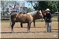 4H-2nd-Show-2005-0387.jpg