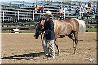 4H-2nd-Show-2005-0388.jpg