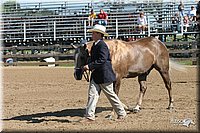 4H-2nd-Show-2005-0389.jpg