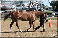 4H-2nd-Show-2005-0397.jpg