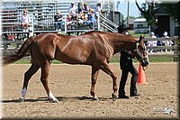 4H-2nd-Show-2005-0398.jpg