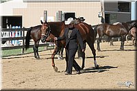 4H-2nd-Show-2005-0405.jpg