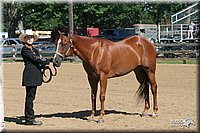 4H-2nd-Show-2005-0435.jpg