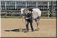 4H-2nd-Show-2005-0437.jpg