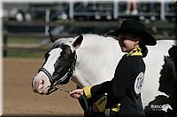 4H-2nd-Show-2005-0452.jpg