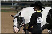 4H-2nd-Show-2005-0453.jpg