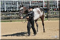 4H-2nd-Show-2005-0459.jpg