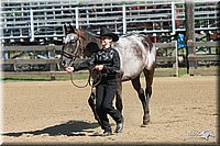 4H-2nd-Show-2005-0460.jpg