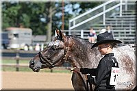 4H-2nd-Show-2005-0462.jpg