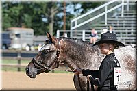 4H-2nd-Show-2005-0463.jpg