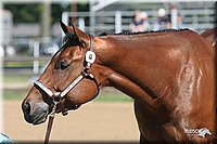 4H-2nd-Show-2005-0470.jpg