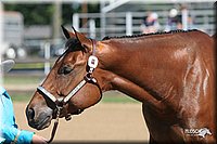 4H-2nd-Show-2005-0471.jpg