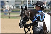 4H-2nd-Show-2005-0479.jpg