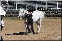 4H-2nd-Show-2005-0491.jpg