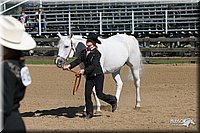 4H-2nd-Show-2005-0492.jpg