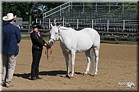 4H-2nd-Show-2005-0494.jpg