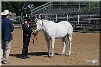 4H-2nd-Show-2005-0495.jpg