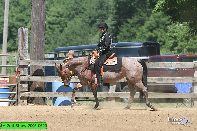 4H-2nd-Show-2005-0620.jpg