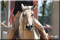4H-2nd-Show-2005-0656.jpg