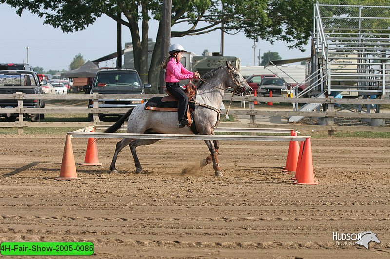 4H-Fair-Show-2005-0085.jpg