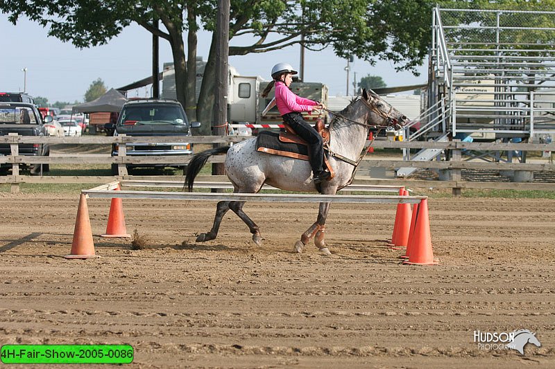 4H-Fair-Show-2005-0086.jpg
