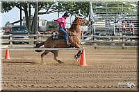 4H-Fair-Show-2005-0015.jpg