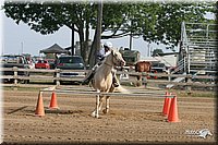 4H-Fair-Show-2005-0157.jpg