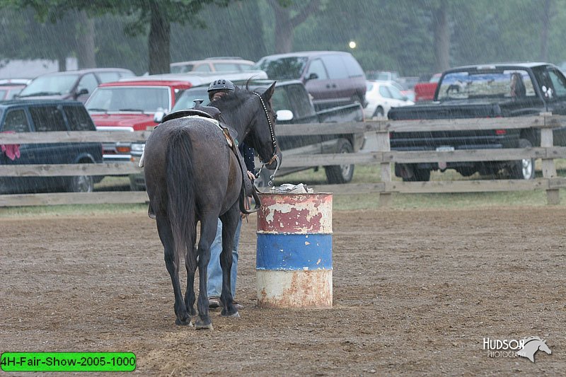 4H-Fair-Show-2005-1000.jpg