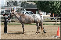 4H-Fair-Show-2005-0269.jpg