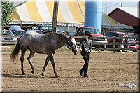 4H-Fair-Show-2005-0271.jpg