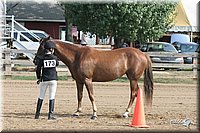 4H-Fair-Show-2005-0276.jpg