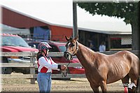 4H-Fair-Show-2005-0325.jpg