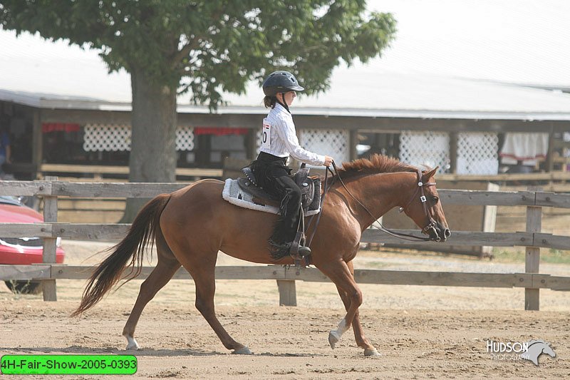 4H-Fair-Show-2005-0393.jpg
