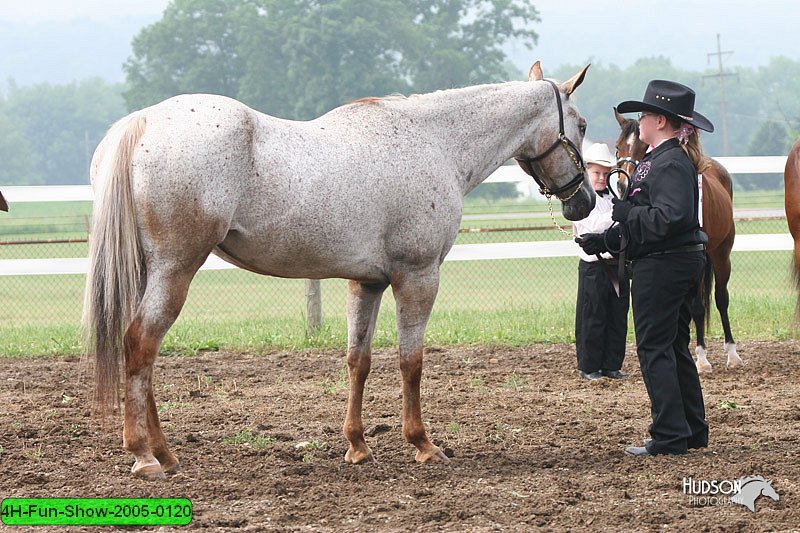 4H-Fun-Show-2005-0120.jpg
