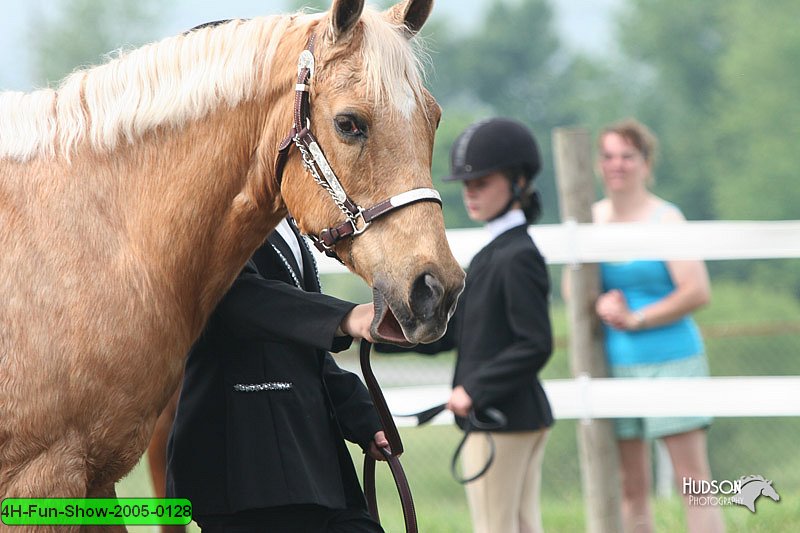4H-Fun-Show-2005-0128.jpg