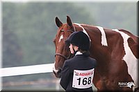 4H-Fun-Show-2005-0017.jpg