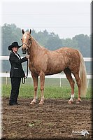 4H-Fun-Show-2005-0053.jpg