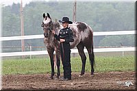 4H-Fun-Show-2005-0059.jpg