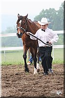 4H-Fun-Show-2005-0111.jpg