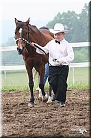 4H-Fun-Show-2005-0112.jpg