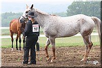 4H-Fun-Show-2005-0118.jpg